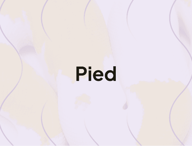 Pied.png